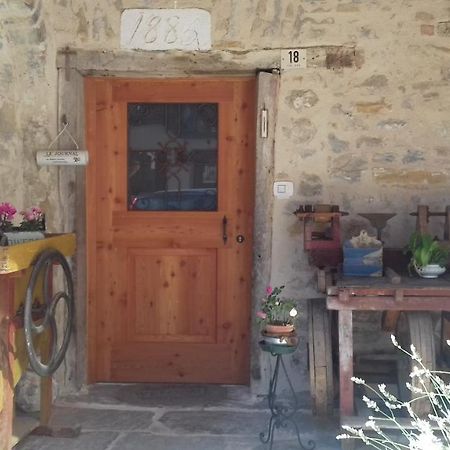 Bed and Breakfast Casa 1885 Belluno Exterior foto