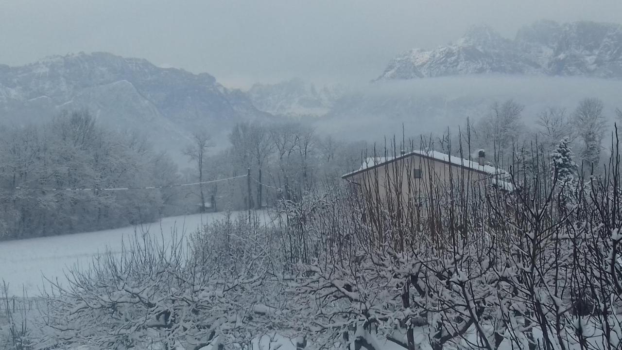 Bed and Breakfast Casa 1885 Belluno Exterior foto